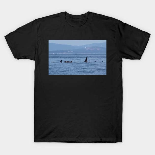 Orca Family T-Shirt by Jacquelie